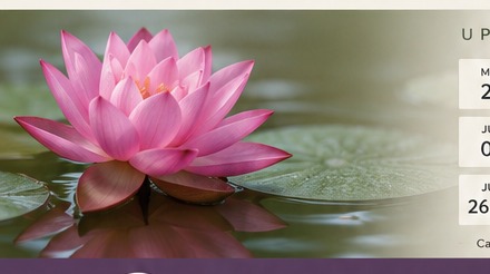 Pink lotus flower floating on water